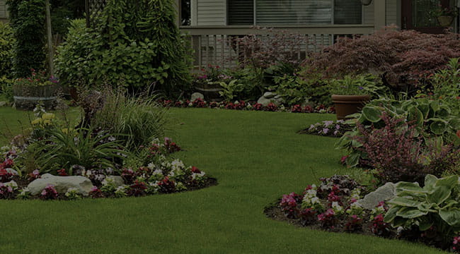 South Jordan Landscape Design