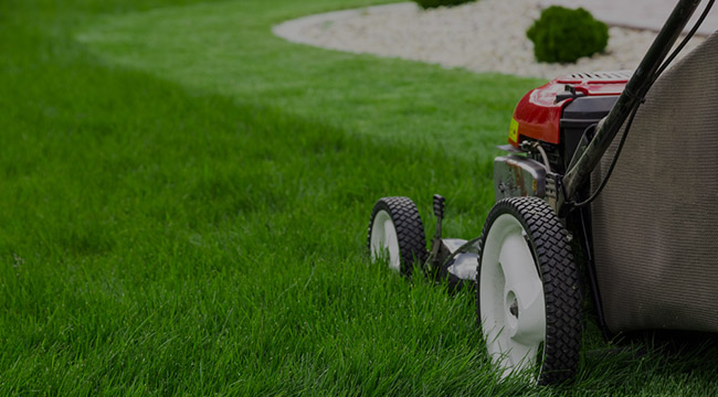 South Jordan Garden Design